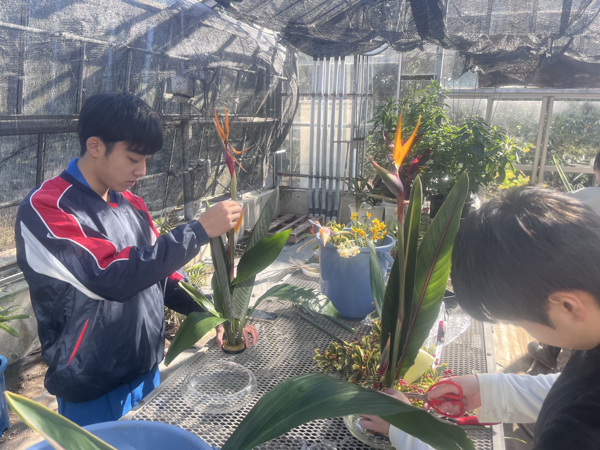 Image - 2026-01-21T172133.063